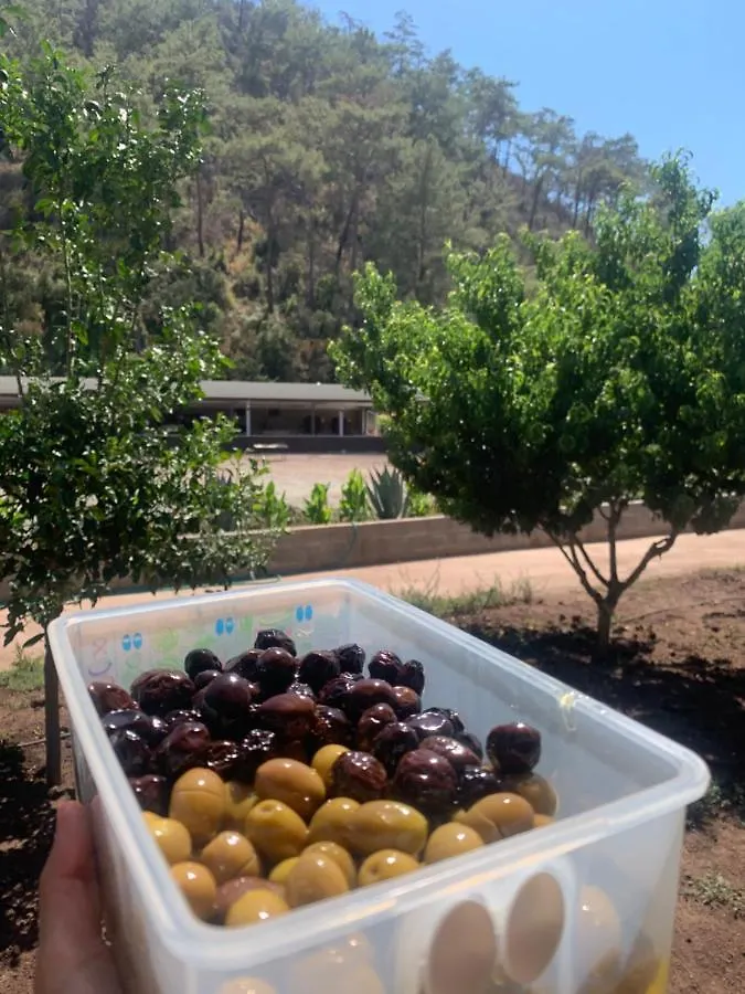 Doga Ciftlik Konaklama Marmaris 0*,  Türkiye