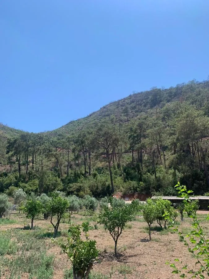 Apart Otel Doga Ciftlik Konaklama Marmaris Türkiye