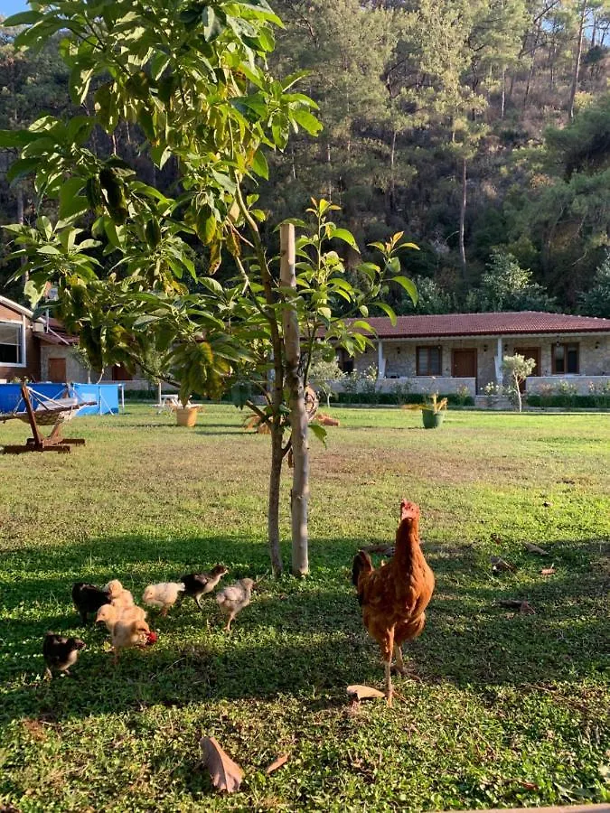 Doga Ciftlik Konaklama Marmaris 0*,  Türkiye