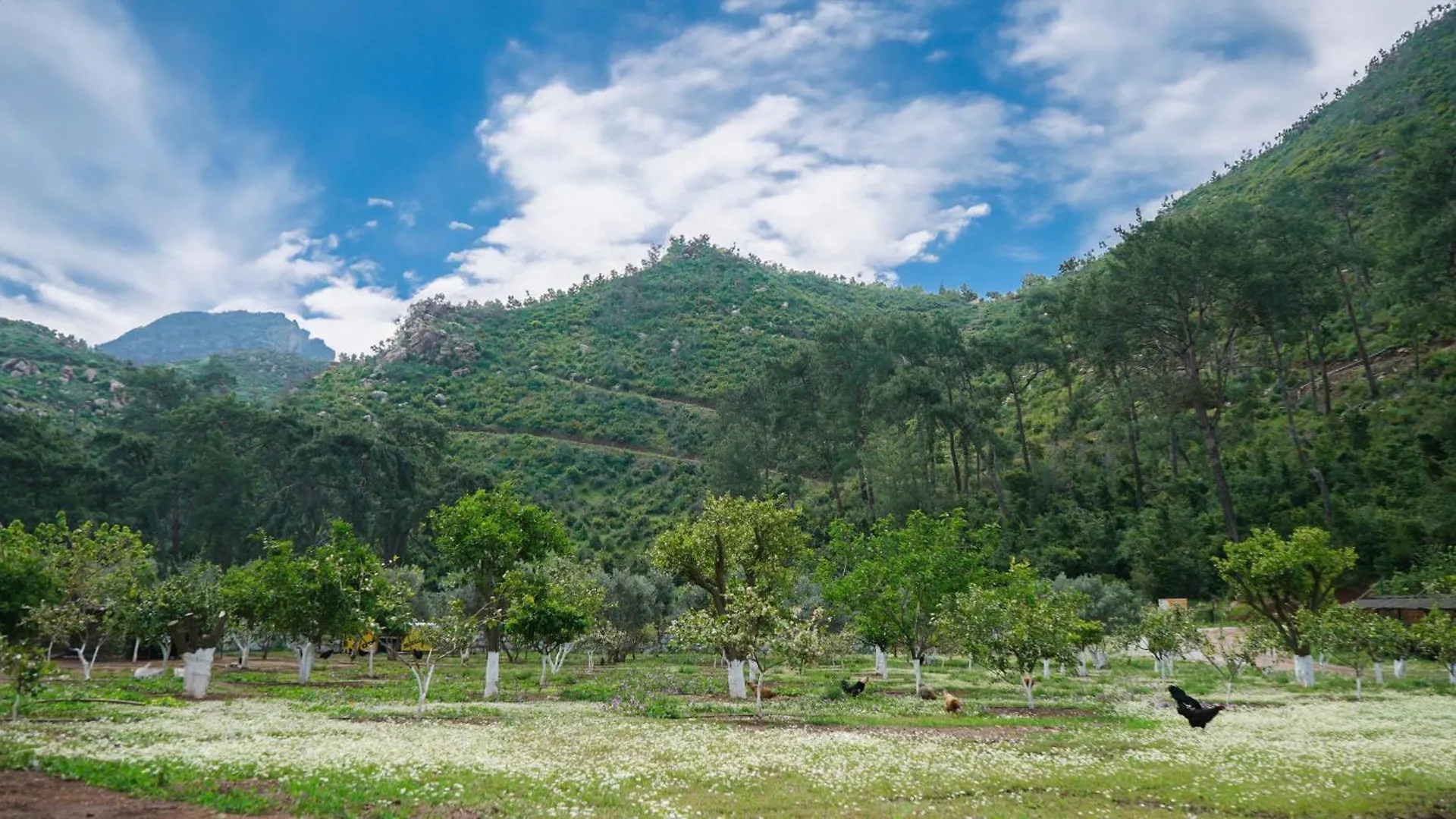 Doga Ciftlik Konaklama Marmaris