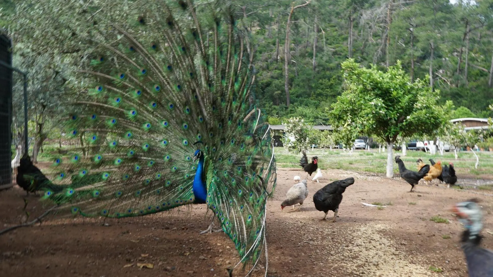 Doga Ciftlik Konaklama Marmaris